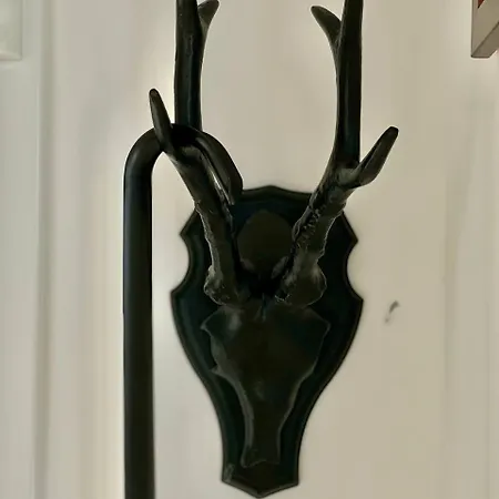 Modern With Garden Free Parking